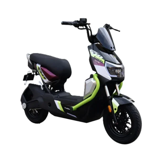 BICI ELECTRICA IGOMA GTS